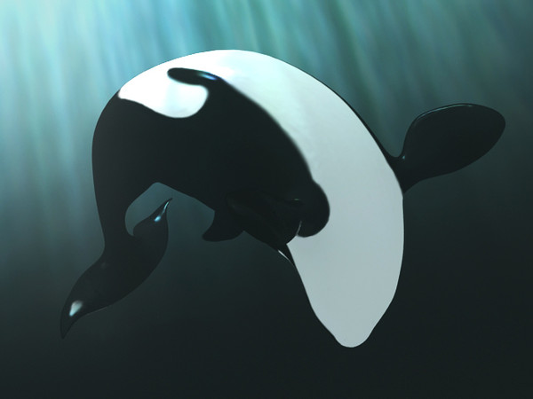 3d killer whale rigged - Killer Whale rigged by fabelar