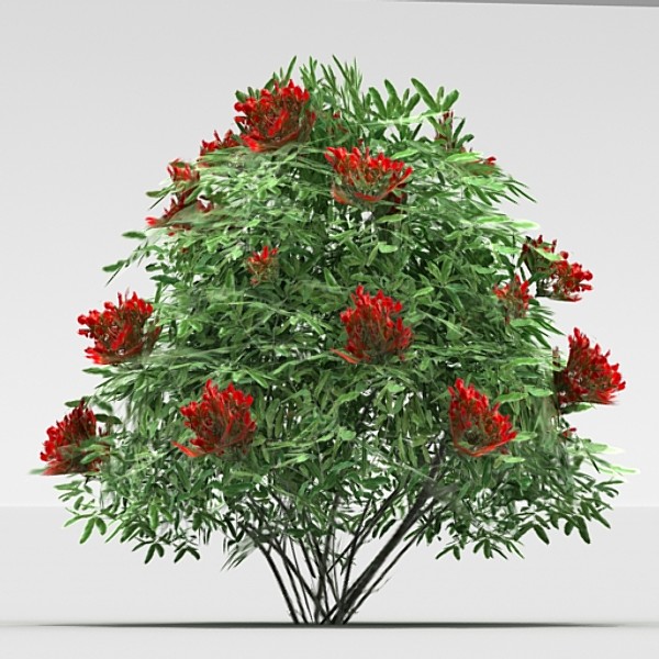 3d model gloriosa - Gloriosa by fabelar