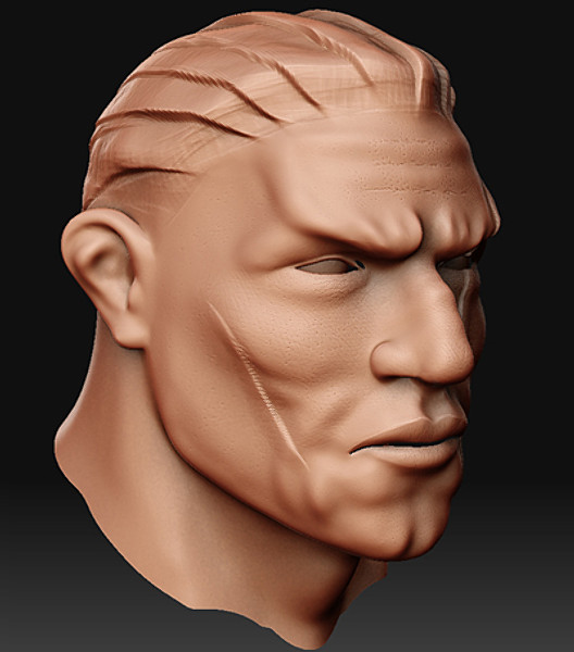 3d model of human male head - Fighter by dentonvanzan