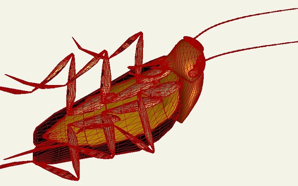 maya cockroach creatures extermination - Cockroach... by GraphicGuru
