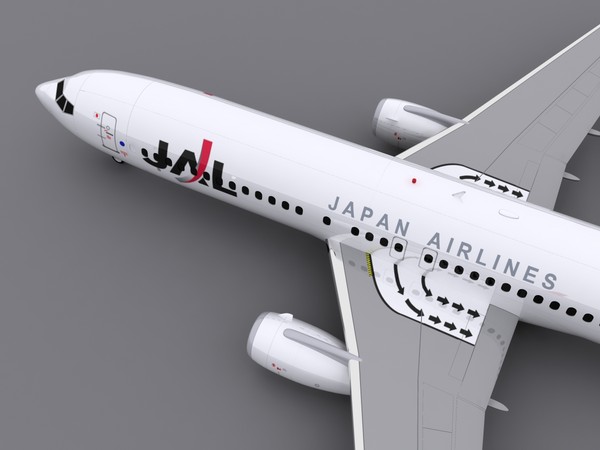 maya aircraft jal - 737-800 - JAL... by foxxhound