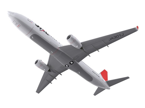 maya aircraft jal - 737-800 - JAL... by foxxhound