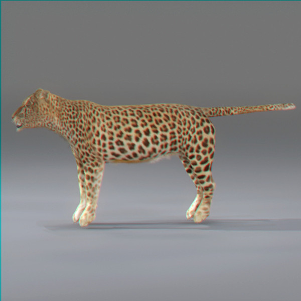 3d cat feline leopard - Leopard by NONECG