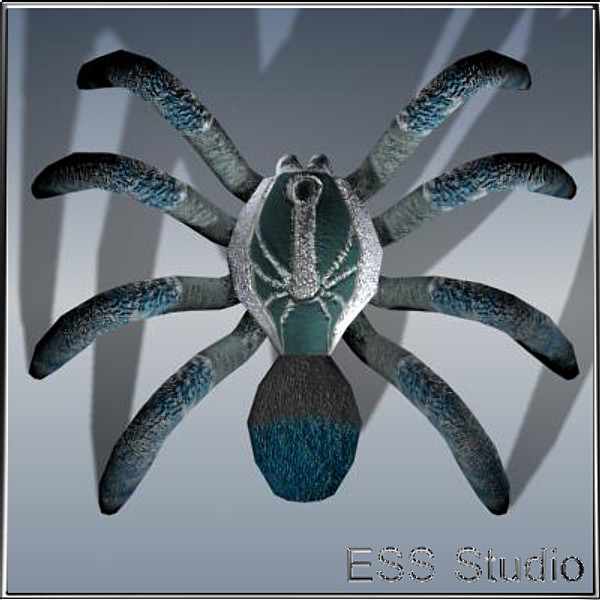 3d model cobalt tarantula - Cobal Tarantula by ESS Studio