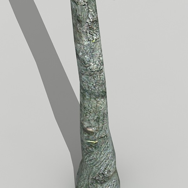 3d model silver birch - Silver Birch by fabelar