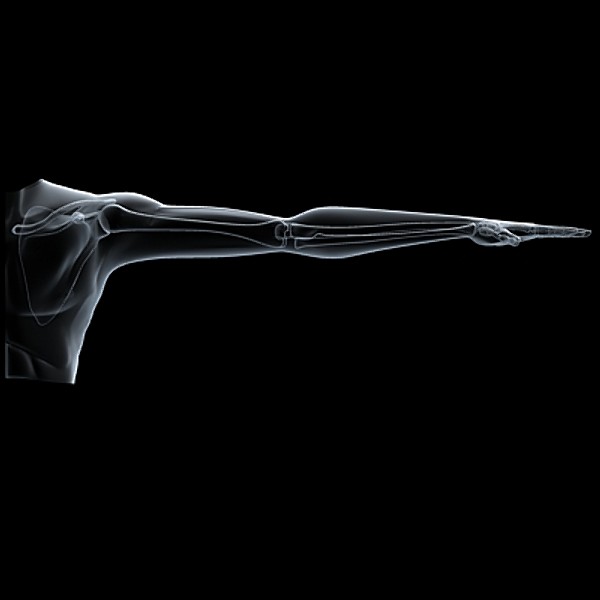 shoulder upper limb 3d 3ds - Shoulder & upper limbs.zip... by RadioMatrix