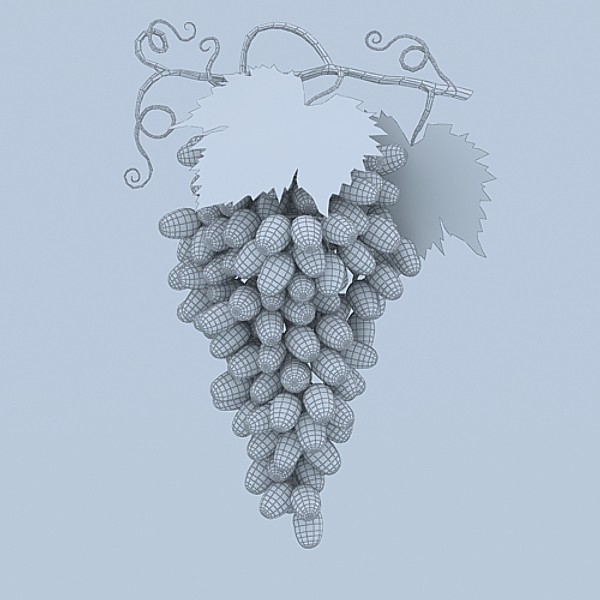3d max seedless white grapes - Seedless White Grapes by sabah_au