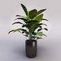 plant 3d model