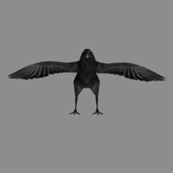 ma crow feathers bird - Crow Rig... by therealjz