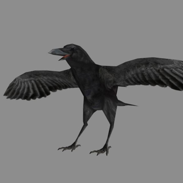 ma crow feathers bird - Crow Rig... by therealjz