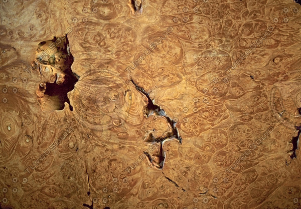 burled wood.jpg
