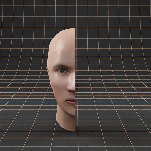 3d head cutaway - Anatomy_head_cutaway by bihoreanul