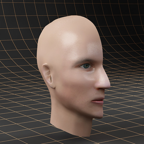 3d head cutaway - Anatomy_head_cutaway by bihoreanul