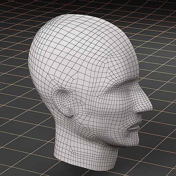 3d head cutaway - Anatomy_head_cutaway by bihoreanul
