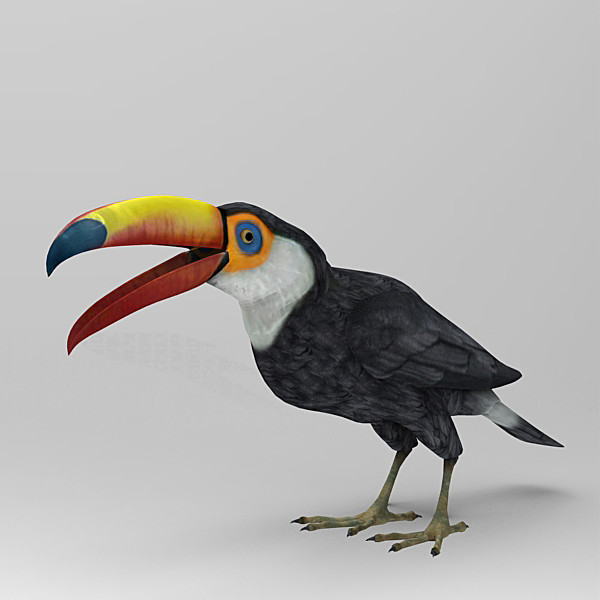 3d model of bird - Toucan by 3d_Wanderer
