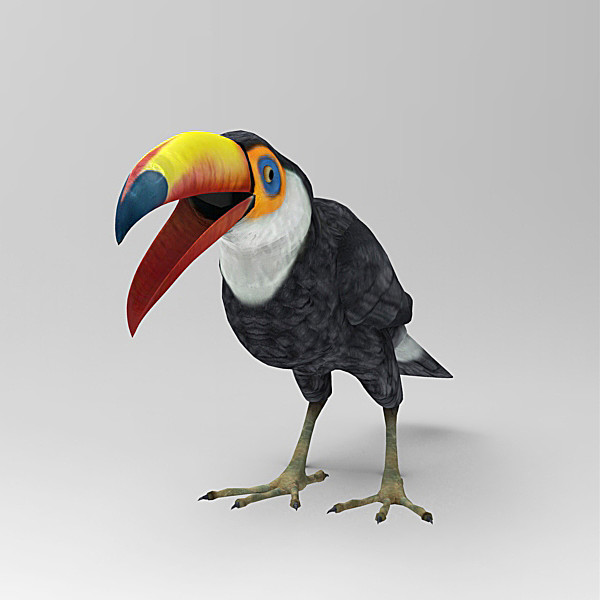 3d model of bird - Toucan by 3d_Wanderer