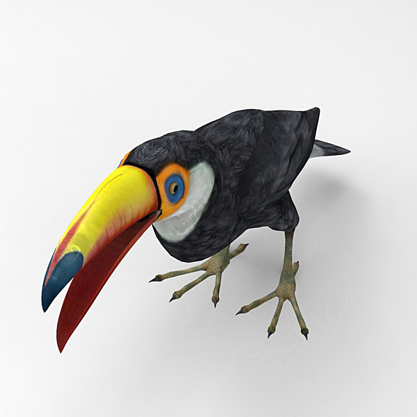 3d model of bird - Toucan by 3d_Wanderer