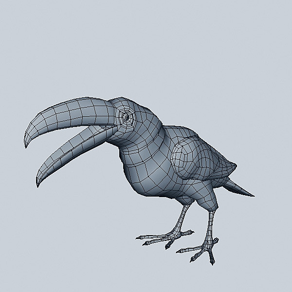 3d model of bird - Toucan by 3d_Wanderer