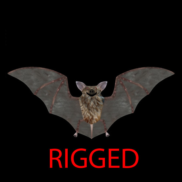 rigged bat 3d ma - Bat Rig... by BogusIndustries