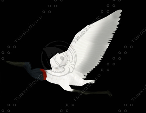blend jabiru tuiuiú - Jabiru by Mako.san