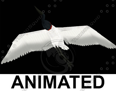 blend jabiru tuiuiú - Jabiru by Mako.san