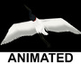 blend jabiru tuiuiú