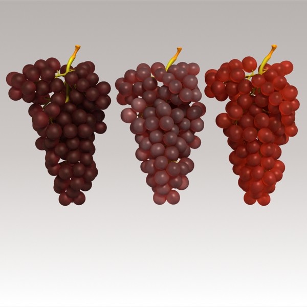 3d model red grapes - Red Grapes by sabah_au