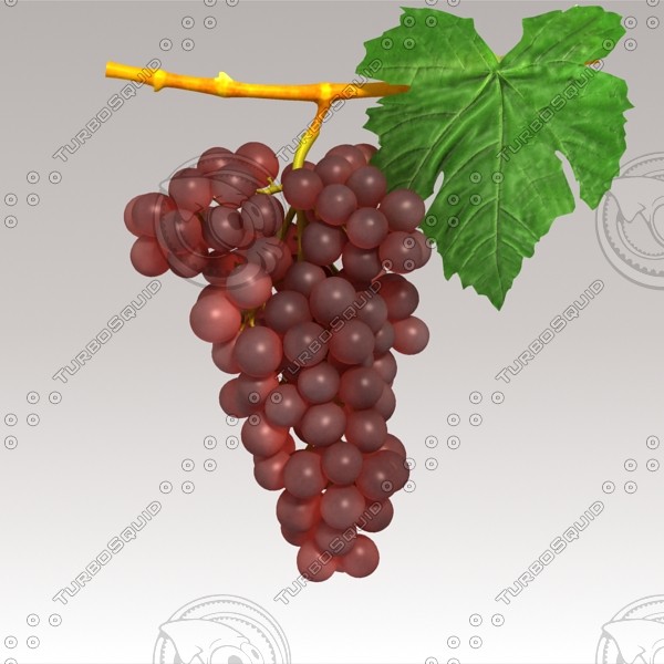 3d model red grapes - Red Grapes by sabah_au