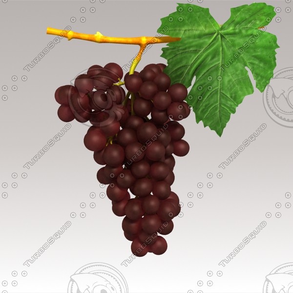 3d model red grapes - Red Grapes by sabah_au