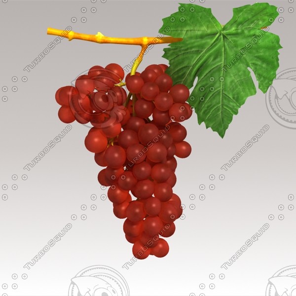 3d model red grapes - Red Grapes by sabah_au