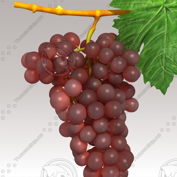 3d model red grapes - Red Grapes by sabah_au