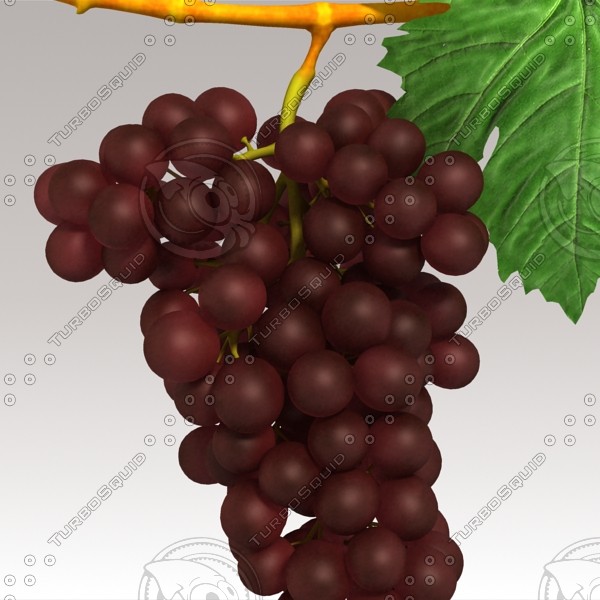 3d model red grapes - Red Grapes by sabah_au