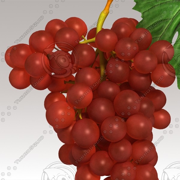 3d model red grapes - Red Grapes by sabah_au