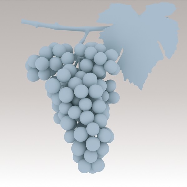 3d model red grapes - Red Grapes by sabah_au