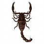 3d model black scorpion