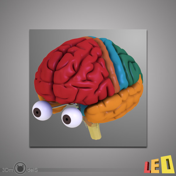 3d human brain model - Human Brain by leo3Dmodels