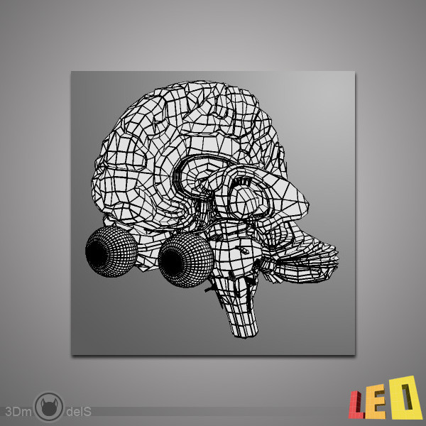 3d human brain model - Human Brain by leo3Dmodels