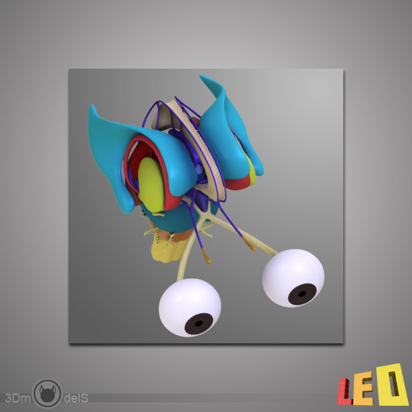 3d human brain model - Human Brain by leo3Dmodels