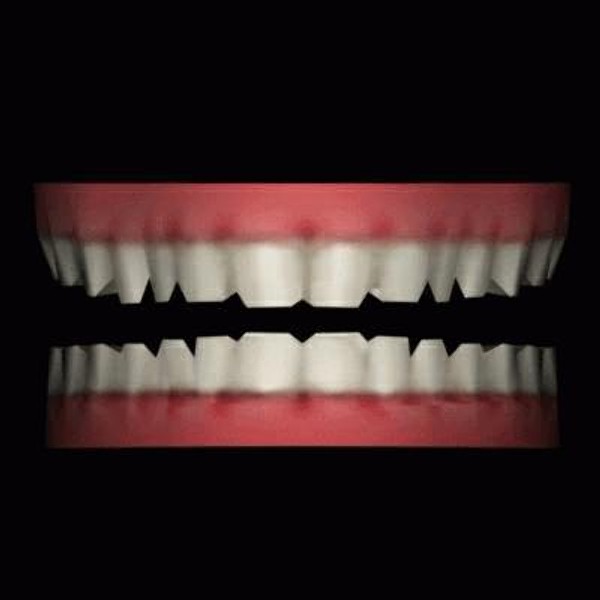 3d model of teeth - Teeth_al.3ds.zip by iw43d