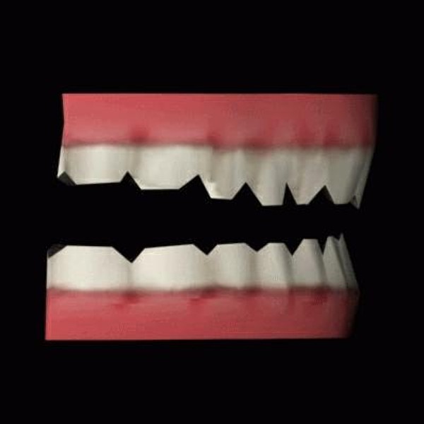 3d model of teeth - Teeth_al.3ds.zip by iw43d