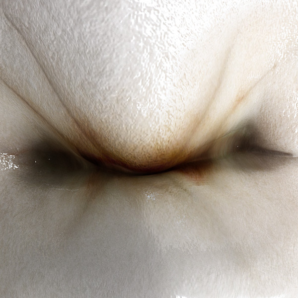 3d v4 0 premolars - 1st Right Permanent Premolars v4.0 by Nikola Dechev