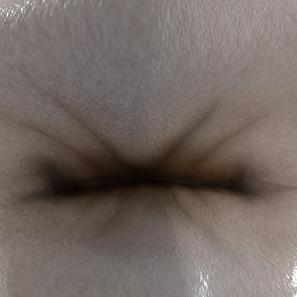 3ds max v4 0 premolars - 2nd Right Permanent Premolars v4.0 by Nikola Dechev