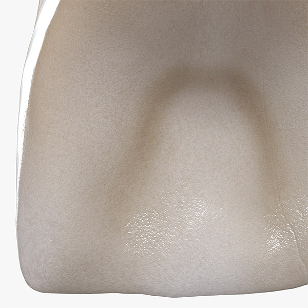 3d v4 0 incisors model - Right Permanent Central Incisors v4.0... by Nikola Dechev