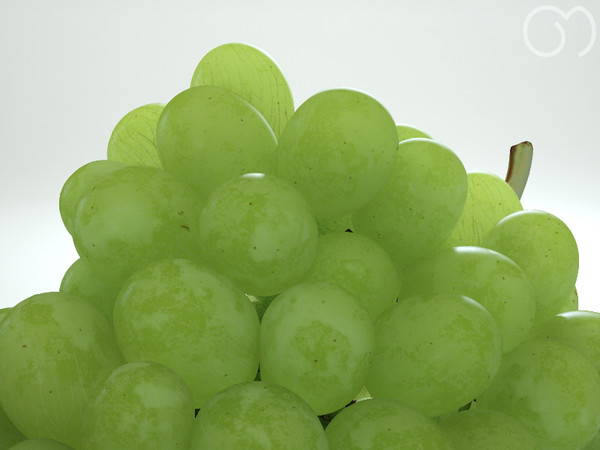 3d model photorealistic white grape - Grape White by goodmesh