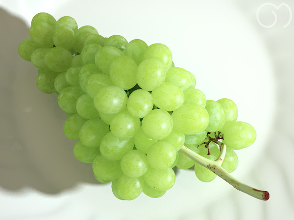 3d model photorealistic white grape - Grape White by goodmesh