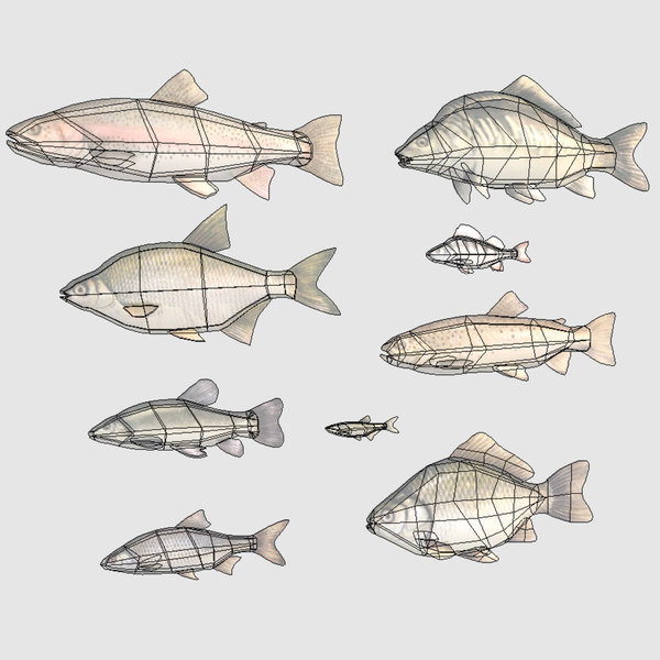 3d river sea fish - Fish Crucian Carp... by icreate