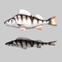 3ds max river sea fish