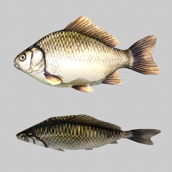 3d river sea fish - Fish Crucian Carp... by icreate