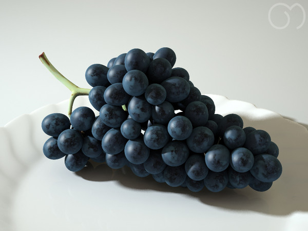 3d photorealistic black grape - Grape Black by goodmesh