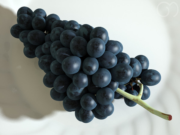 3d photorealistic black grape - Grape Black by goodmesh